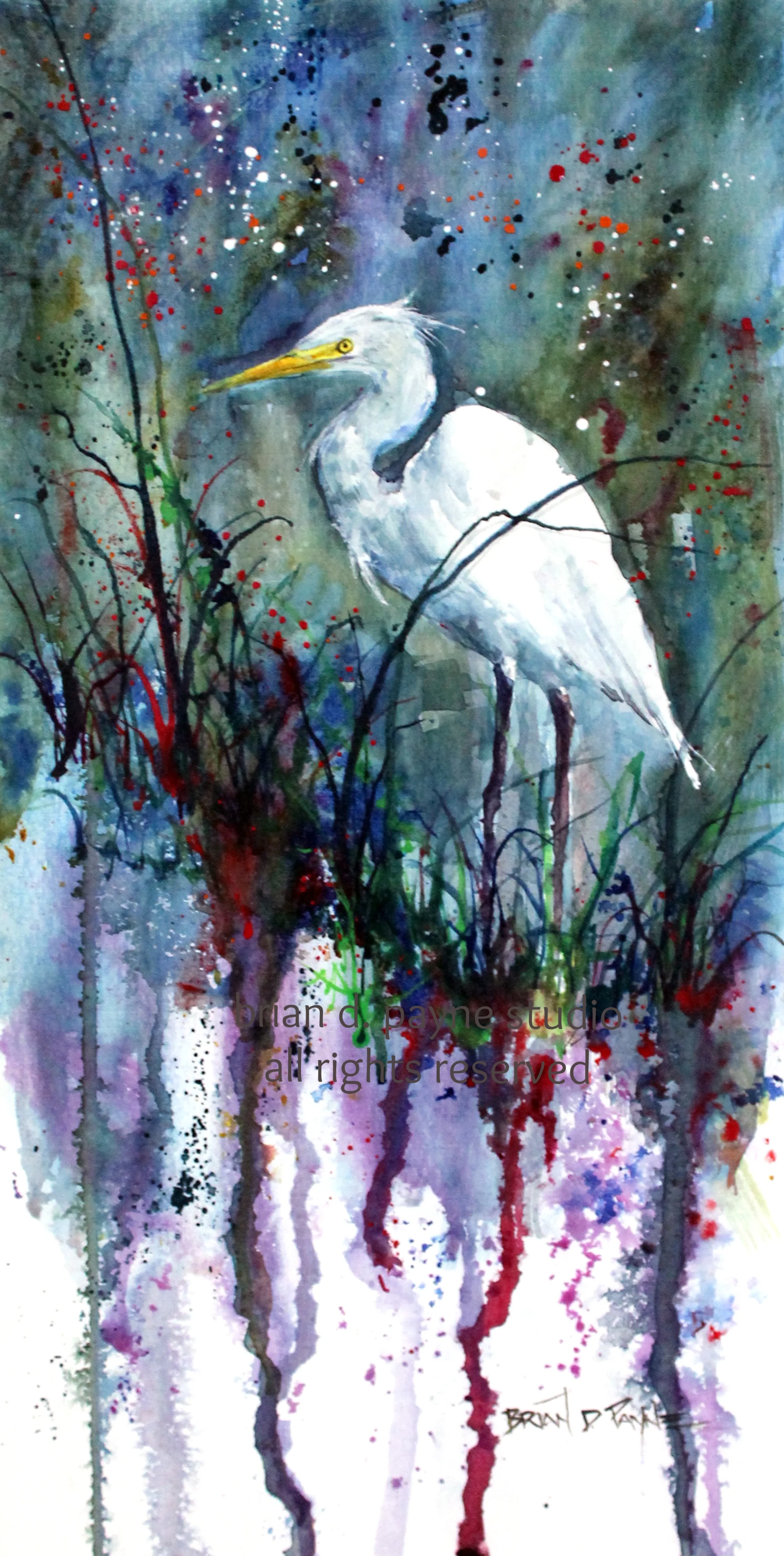 The Glimpse - White Egret