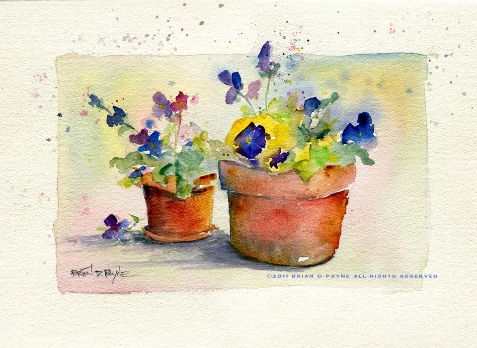 Pansy Pots