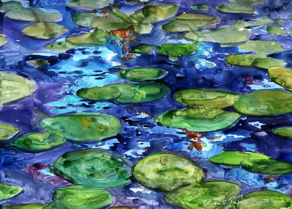 Deep In Thought Lily Pad Pond Brian D Payne Studio Original Art And More
