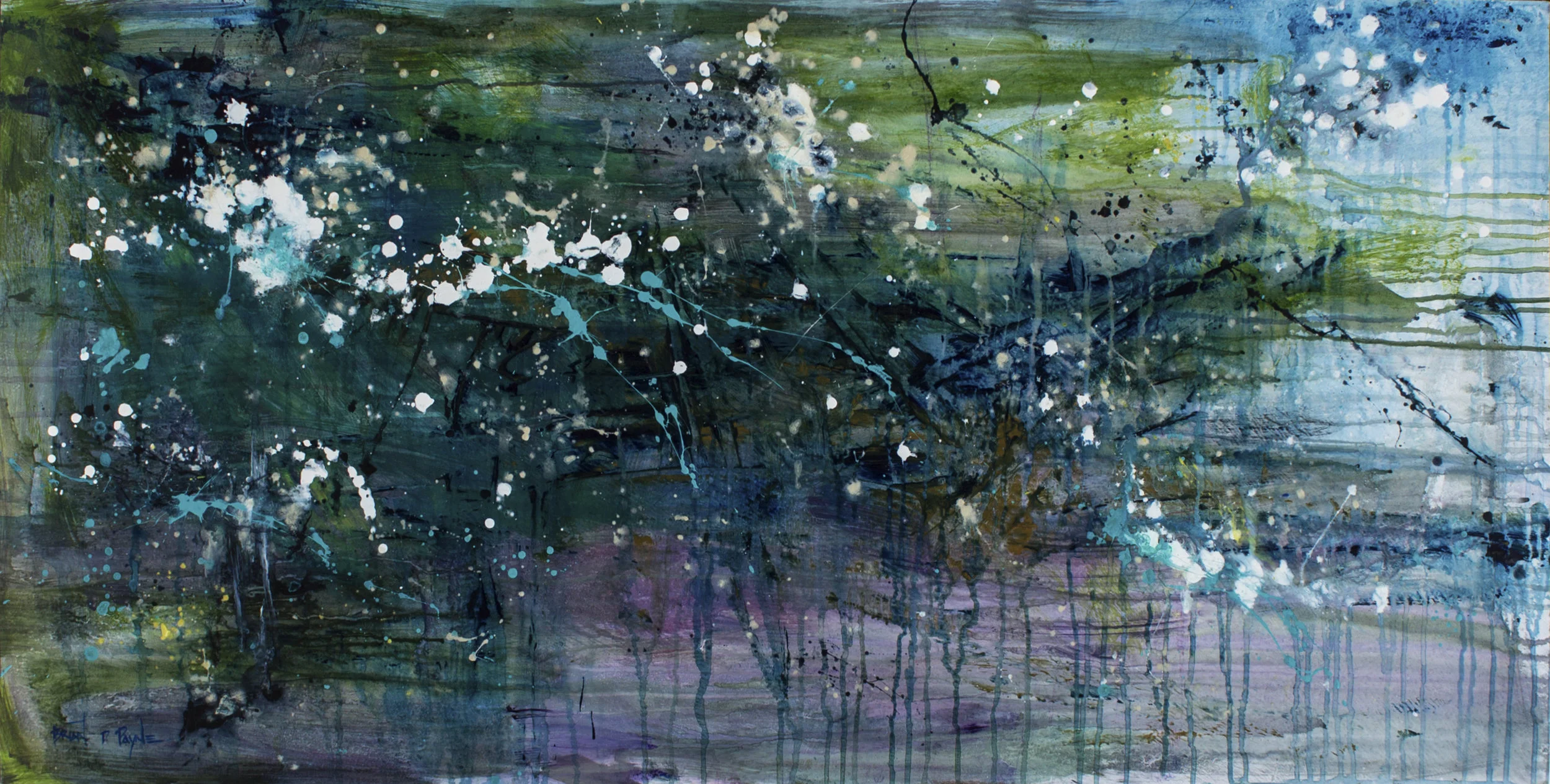 The Shallows