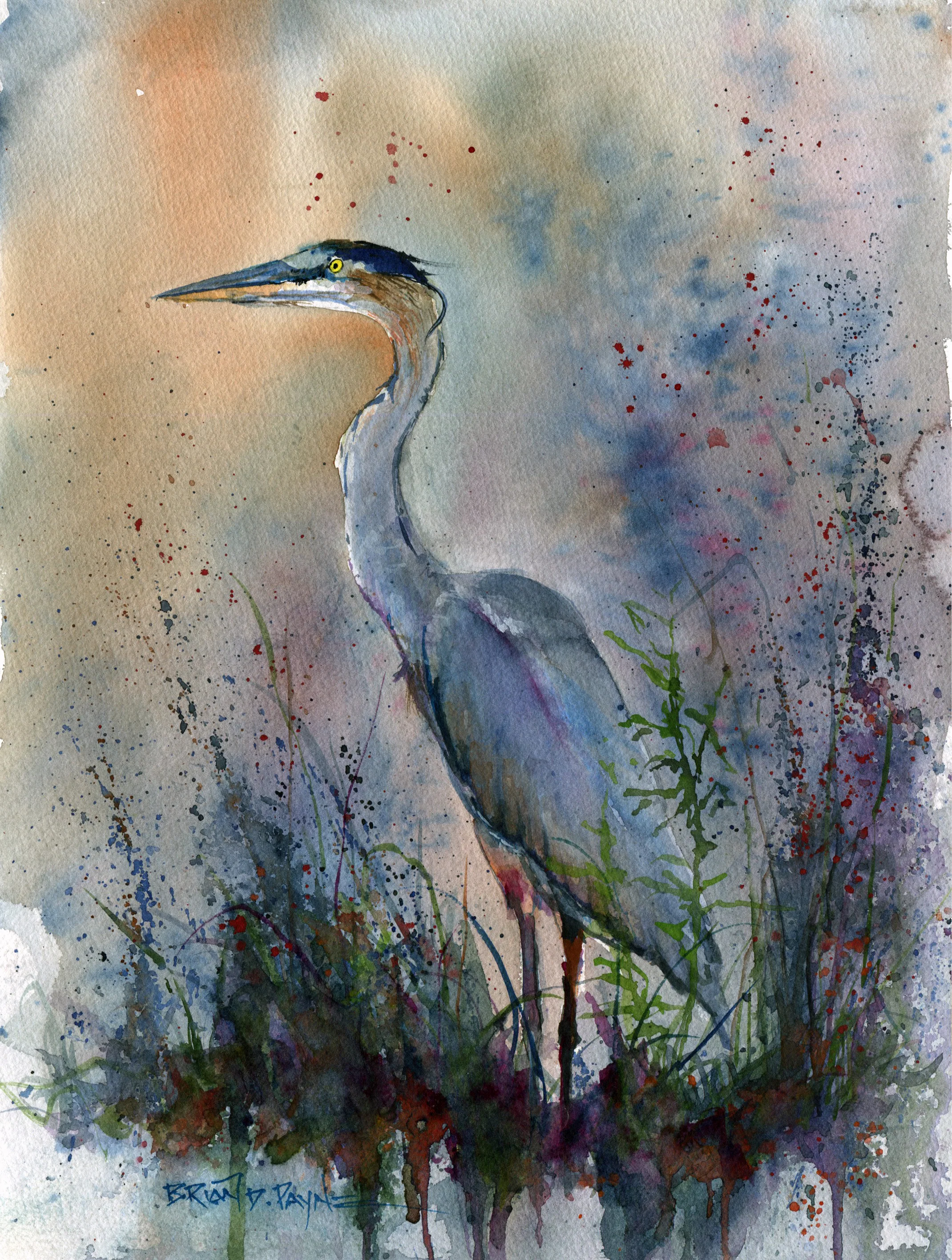 Blue Heron
