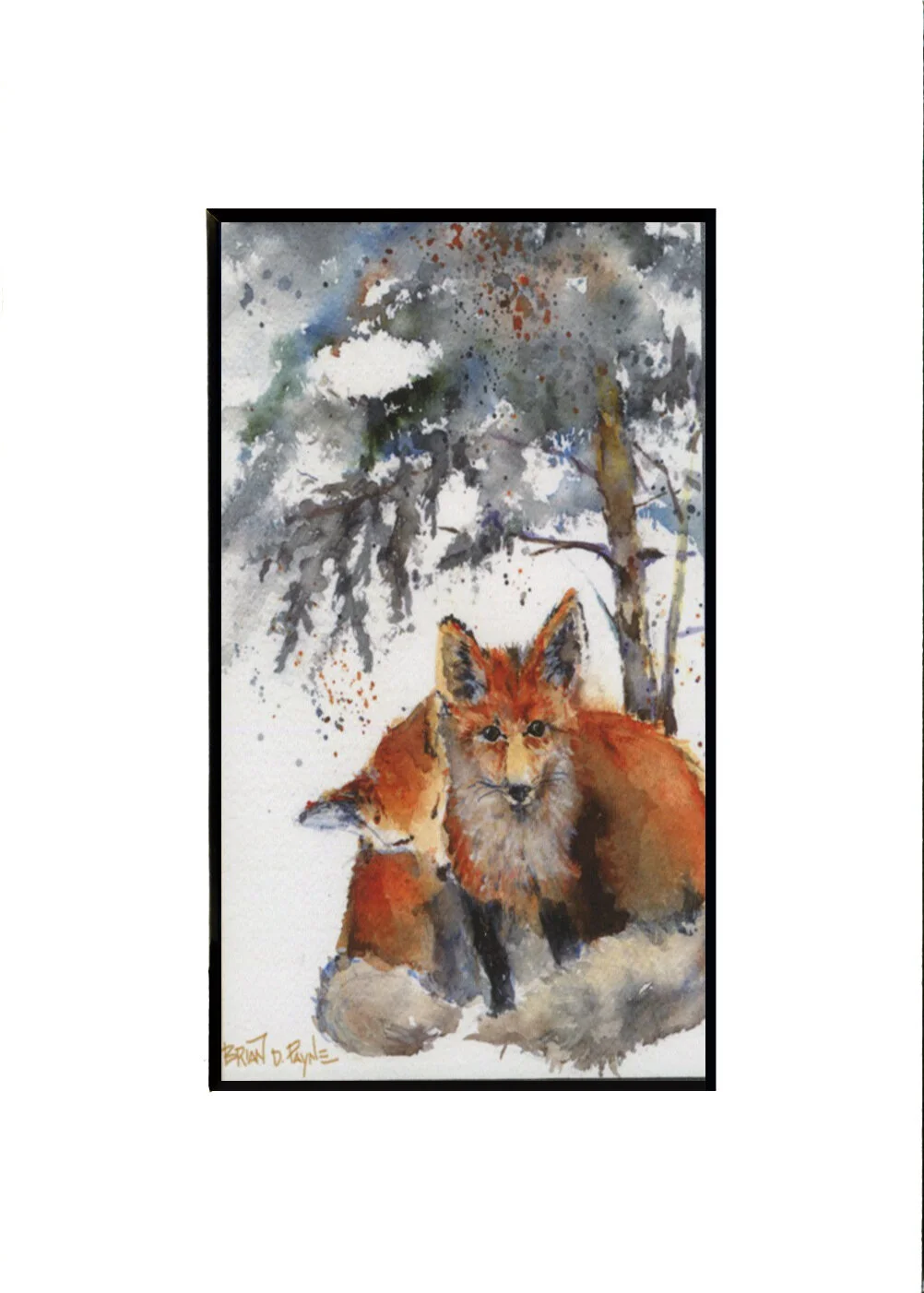 foxes.jpg