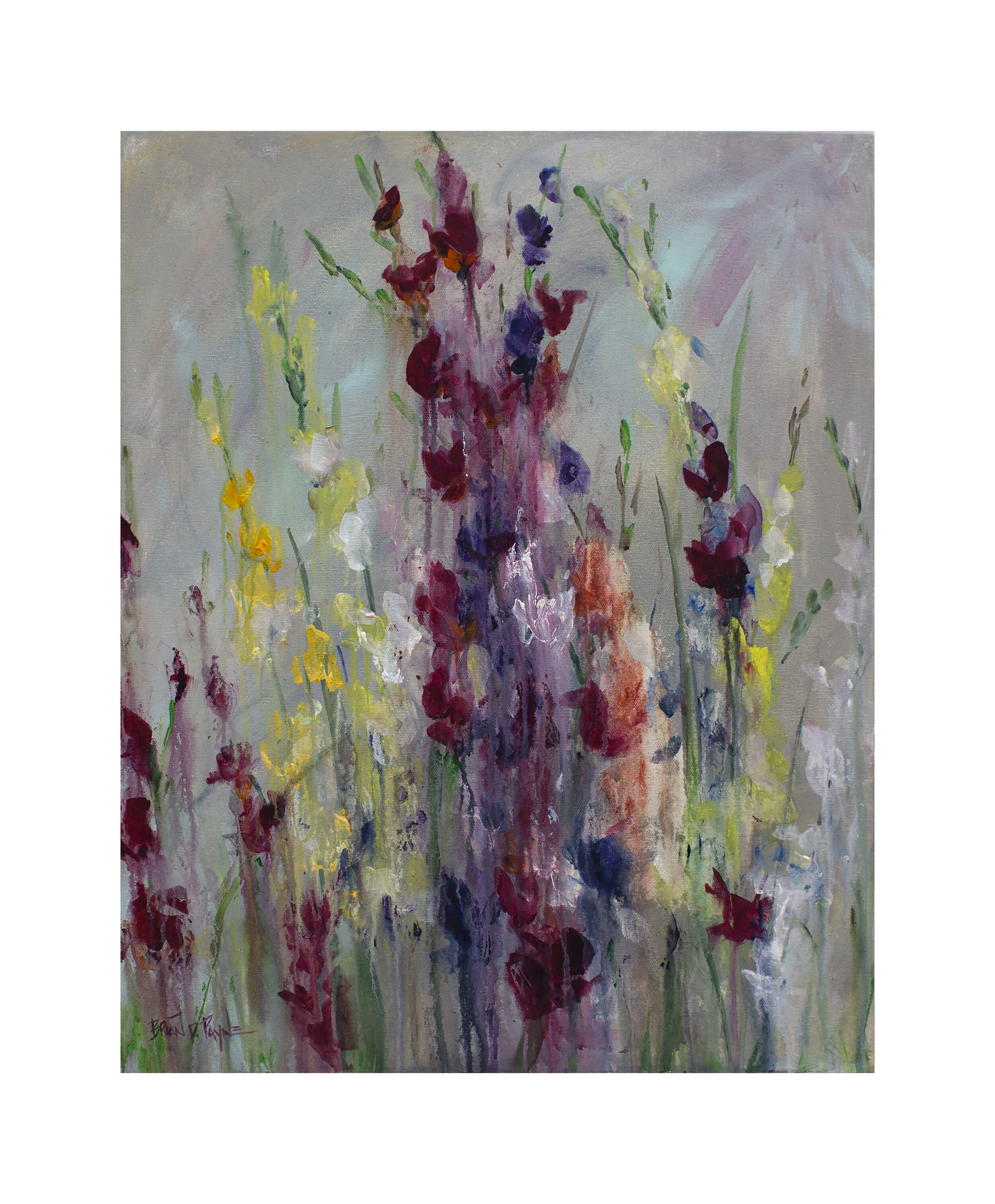 Gladiolus_202016x20print copy.jpg