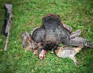 ADIRONDACK HUNTING — Adirondack Mountain Outfitters