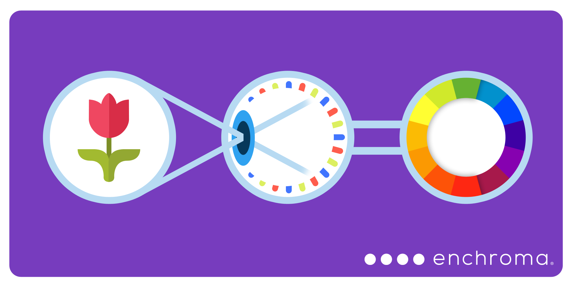 enchroma_technology_how 2.png