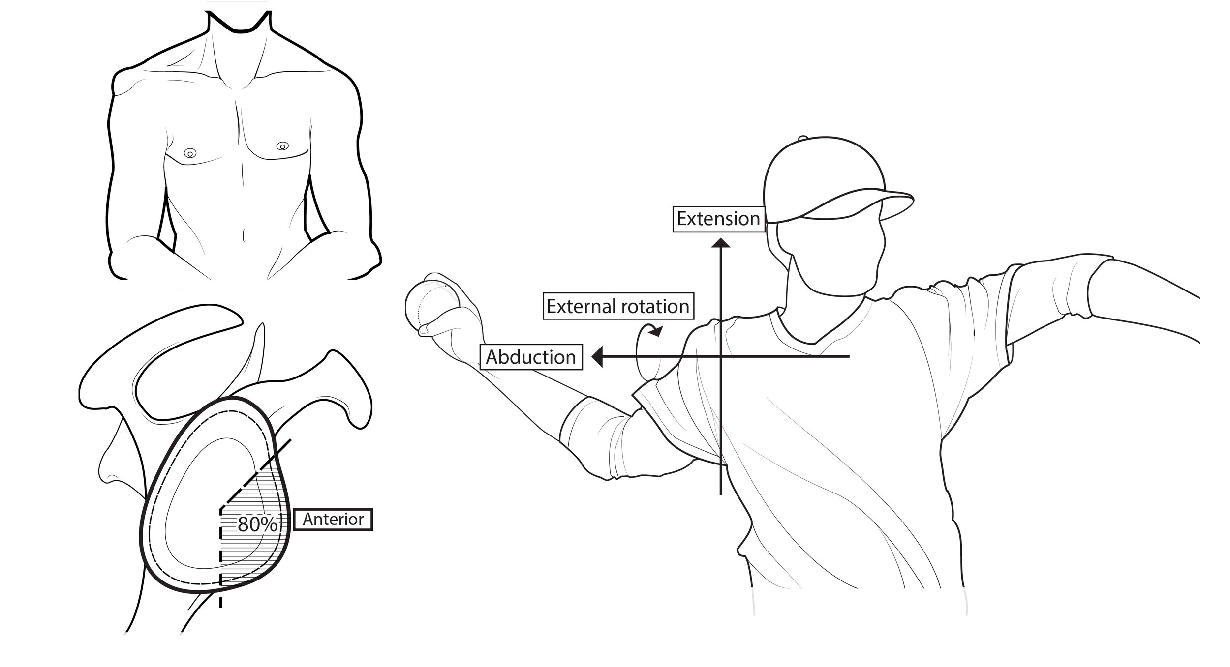 4. Revised illustrations