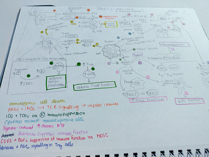 1. Preliminary research