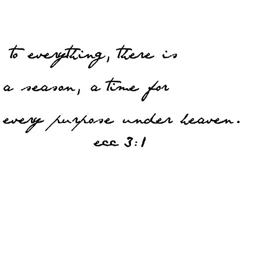Source: https://www.redbubble.com/people/dariasmithyt/works/30059439-ecclesiastes-3-1-bible-verse?p=poster