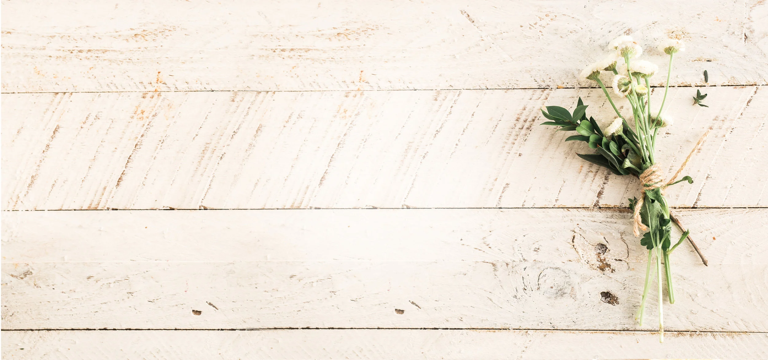 brooke-lark-182428 copy.jpg