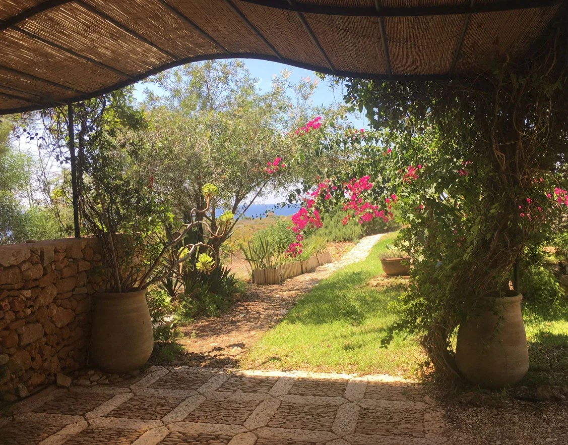 Jardin-méditéranéen.jpg