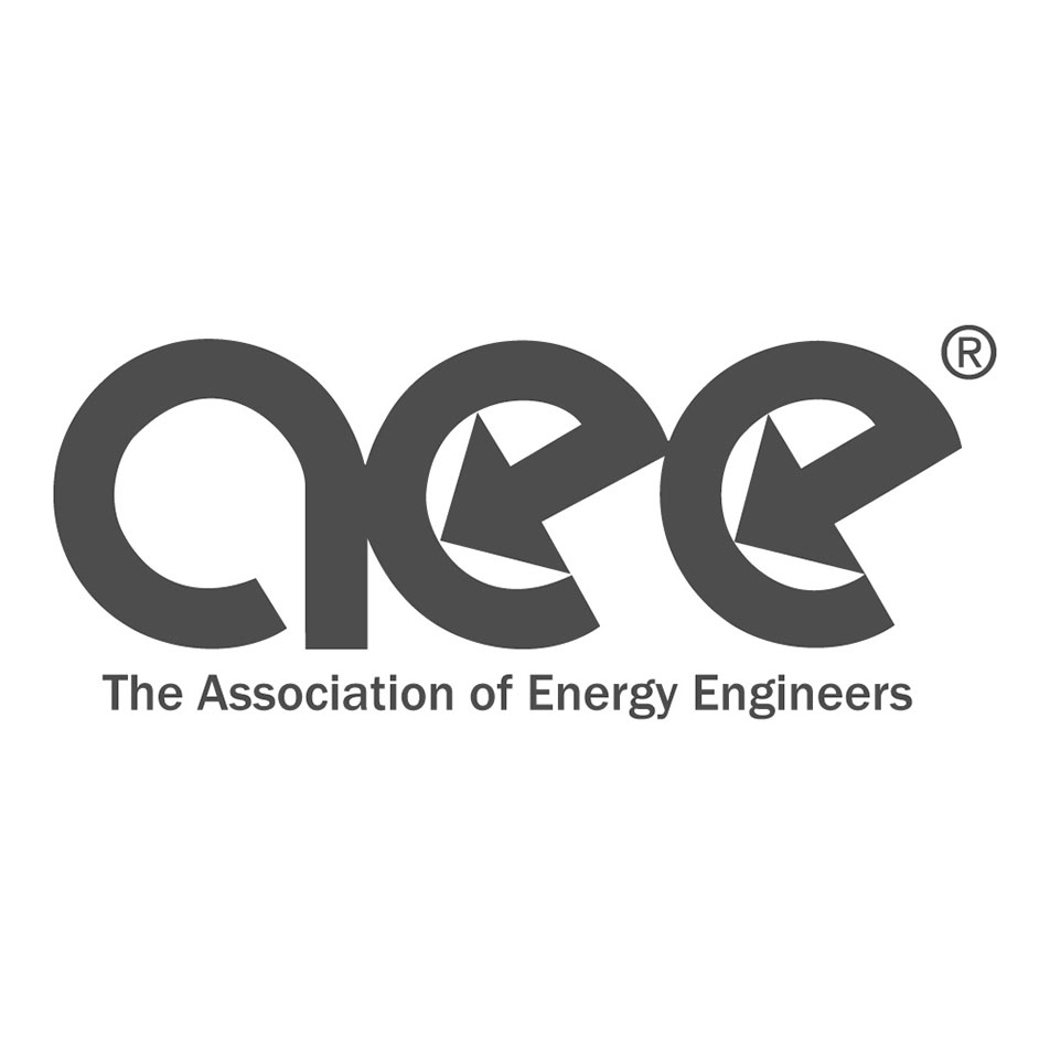 partner_logos_grey_AEE.jpg