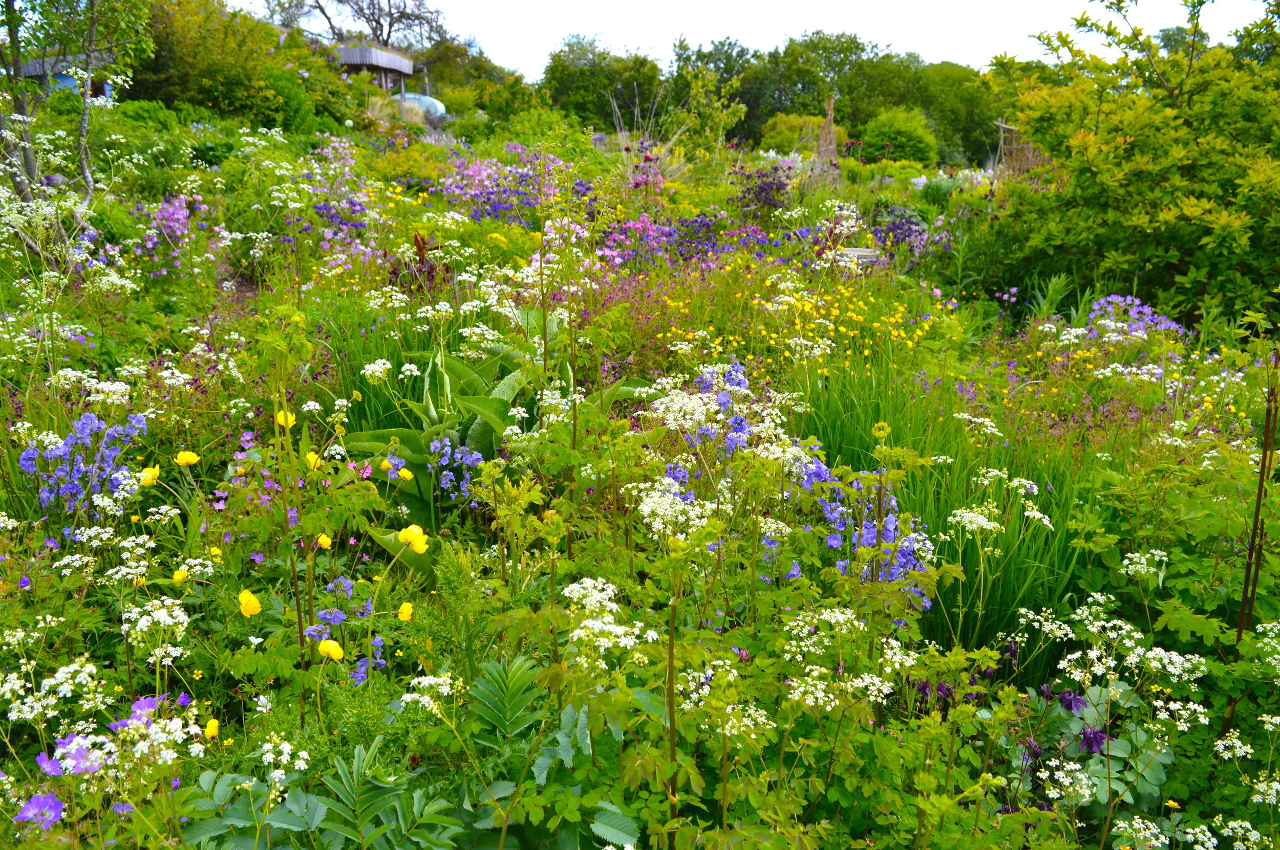 22 original copy.JPG