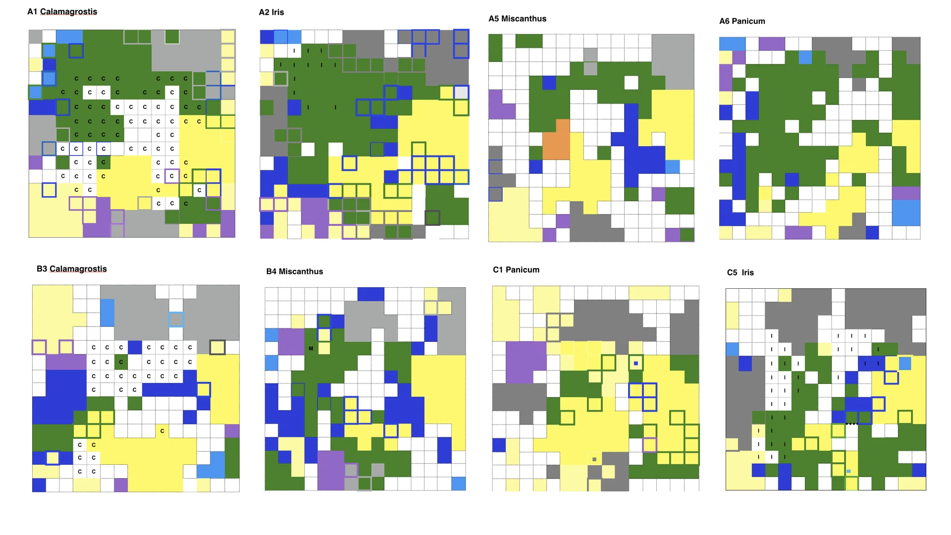 These are the diagrams of the research plots discussed in The Plantsman article