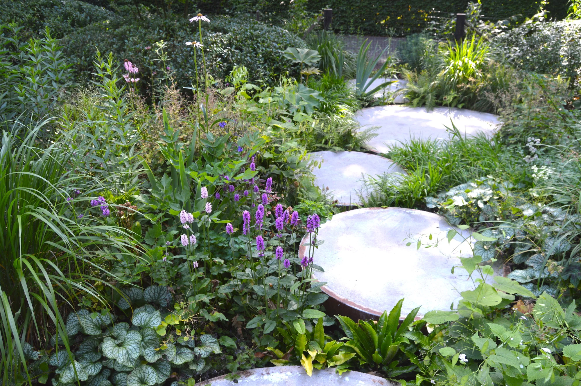 Dutch garden and landscape travels LaptrinhX / News