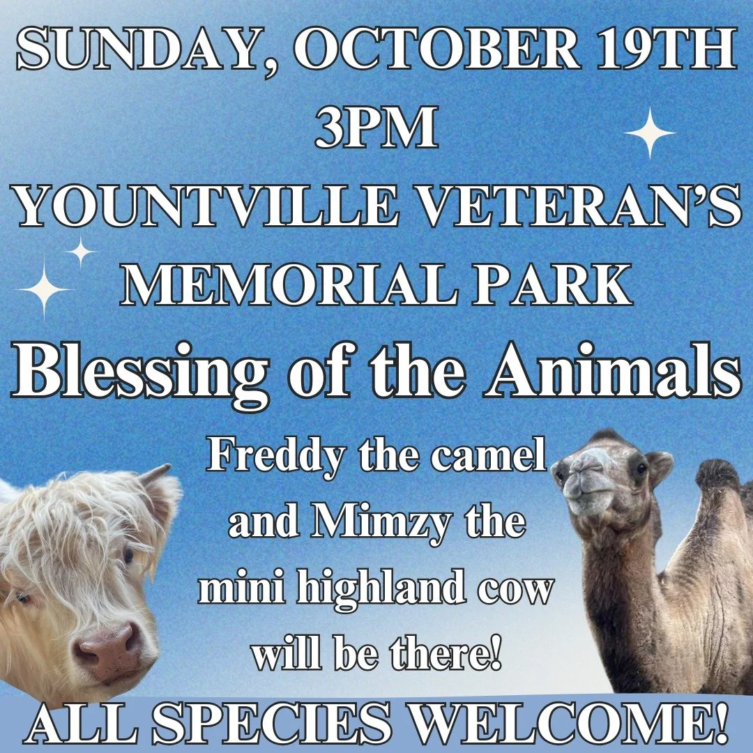 Free! Come meet and pet Freddy the camel and Mimzy the mini highland cow October 19th (Sunday) at 3PM! BRING YOUR OWN ANIMALS OF ANY SPECIES TO BE BLESSED TOO! The @animalpeoplesonoma of Lyon Ranch Therapy Animals will be at the Blessing of the Anima