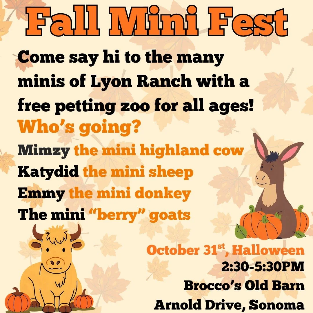 Join us at Brocco's Old Barn (Sonoma) on Halloween Day (October 31st) for a free pop up petting zoo presented by Lyon Ranch Therapy Animals and the @animalpeoplesonoma. There will be many minis to meet and take your photo with in your Halloween costu