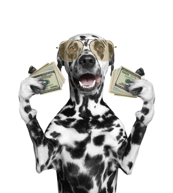 iStock-515519288.jpg