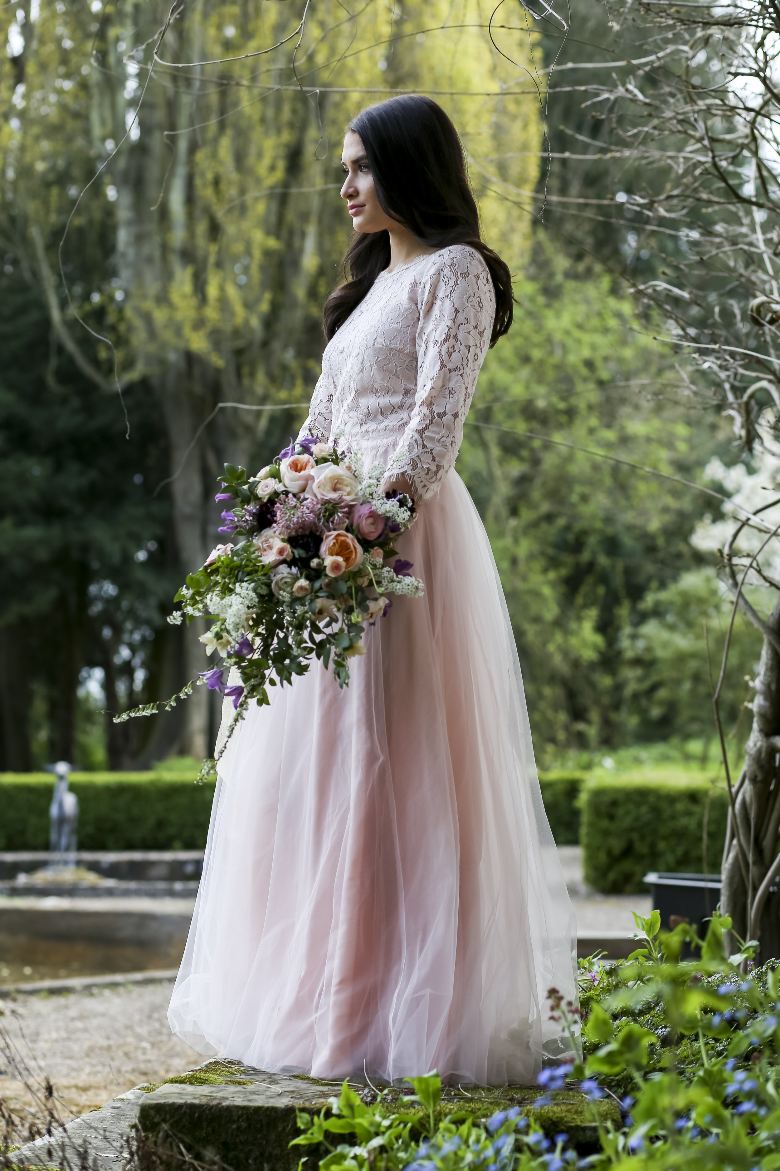 Petal and Wild Elegant Roses.jpg