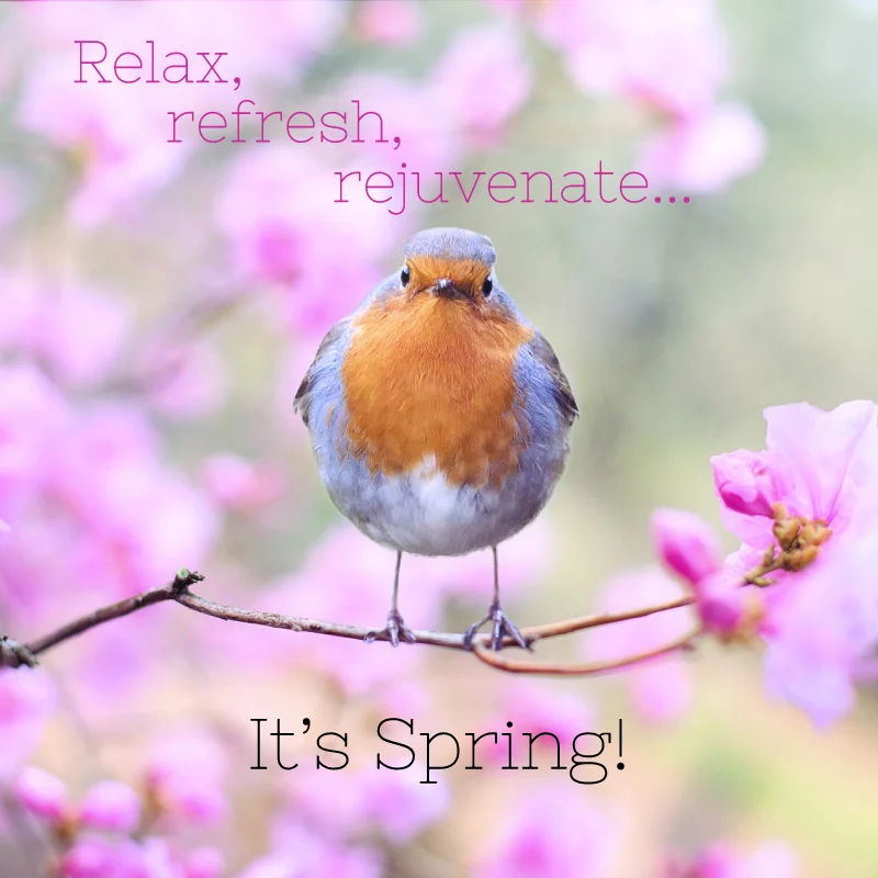 Relax-refesh-rejuvenate-its-spring-BOOSTABLE.jpg
