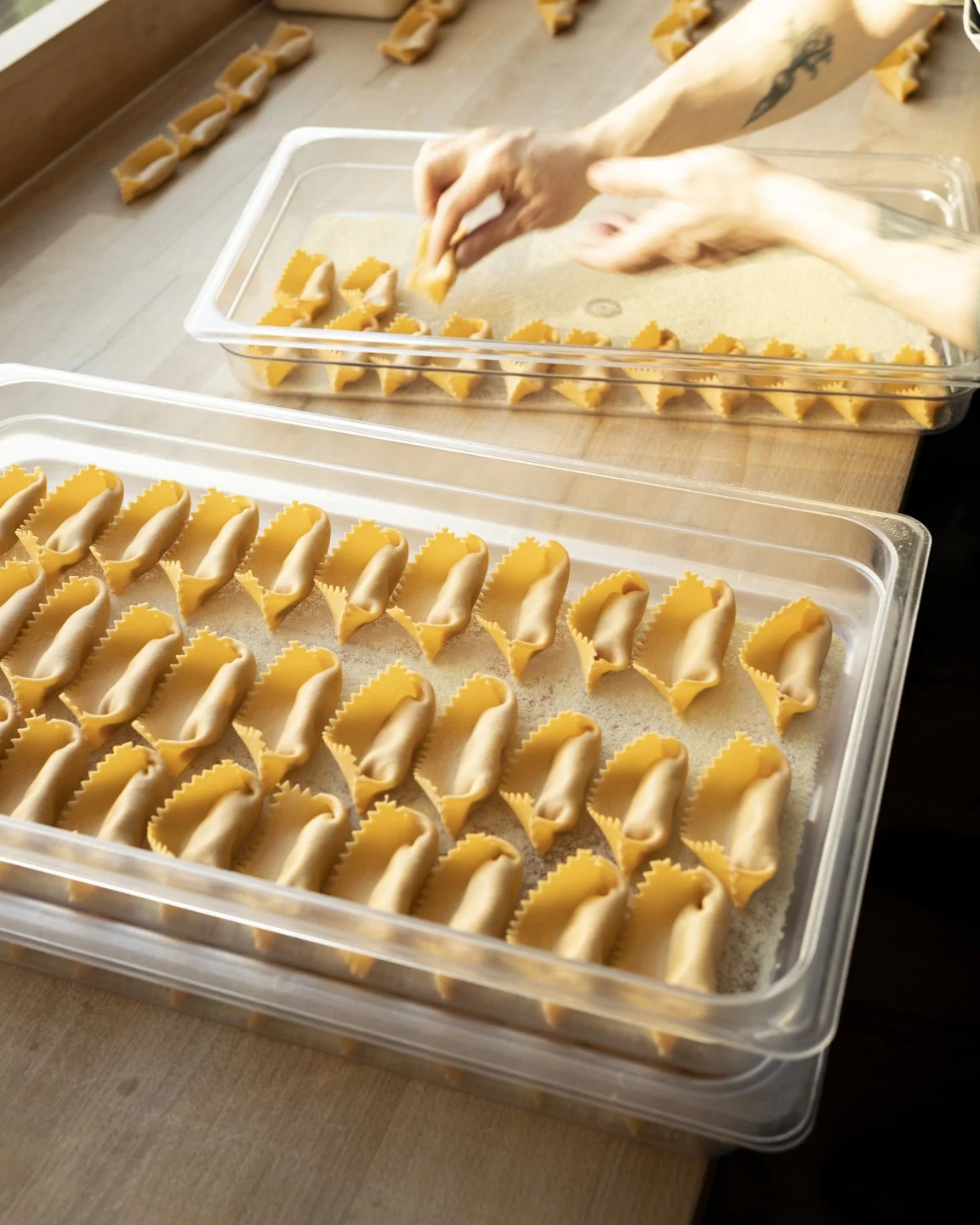 Person assembling large trays of uncooked tortellini pasta on a wooden surface.