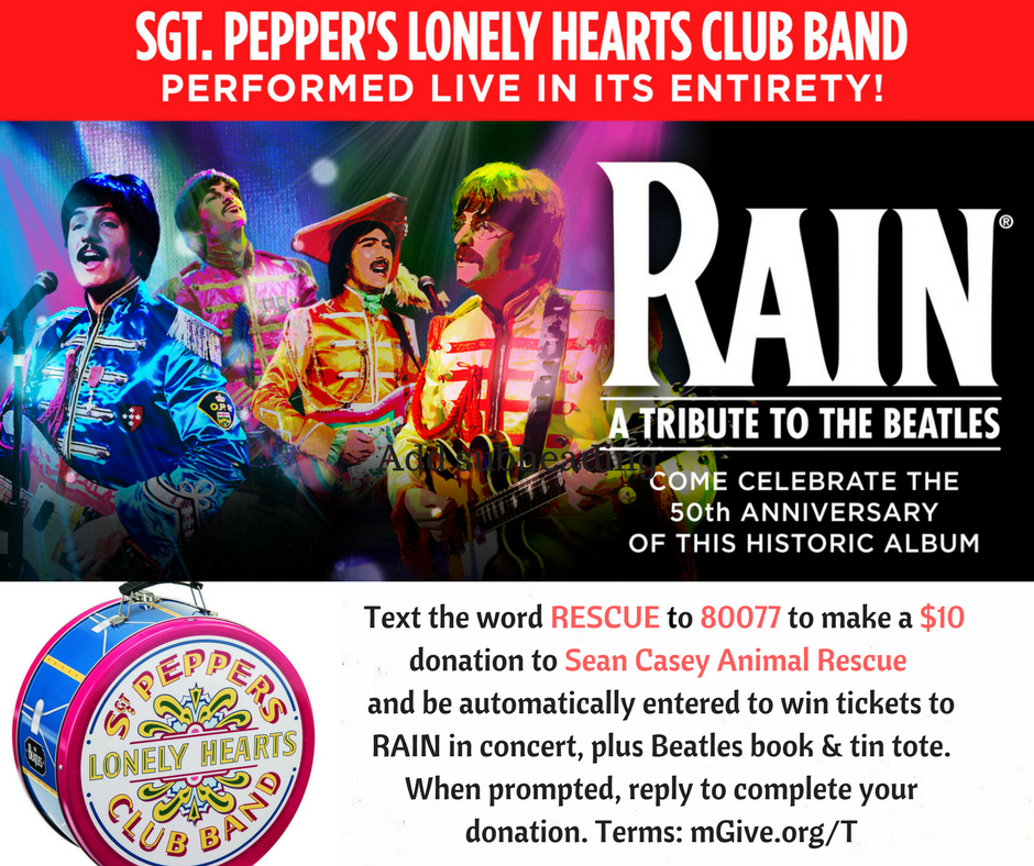 Text to donate and be entered to win 2 tickets to RAIN! Drawing is 4/7/18
