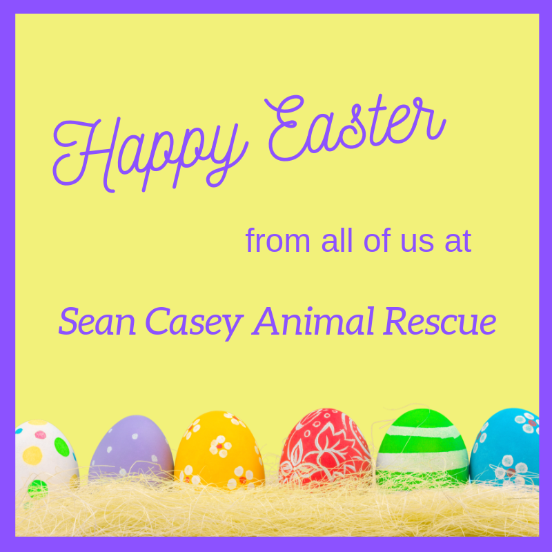 Happy Easter: Sunday, April 21, 2019 Holiday Hours are 11am to 4pm