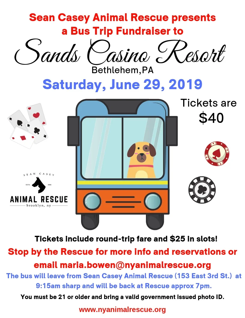 2New Casino Flyer.jpg