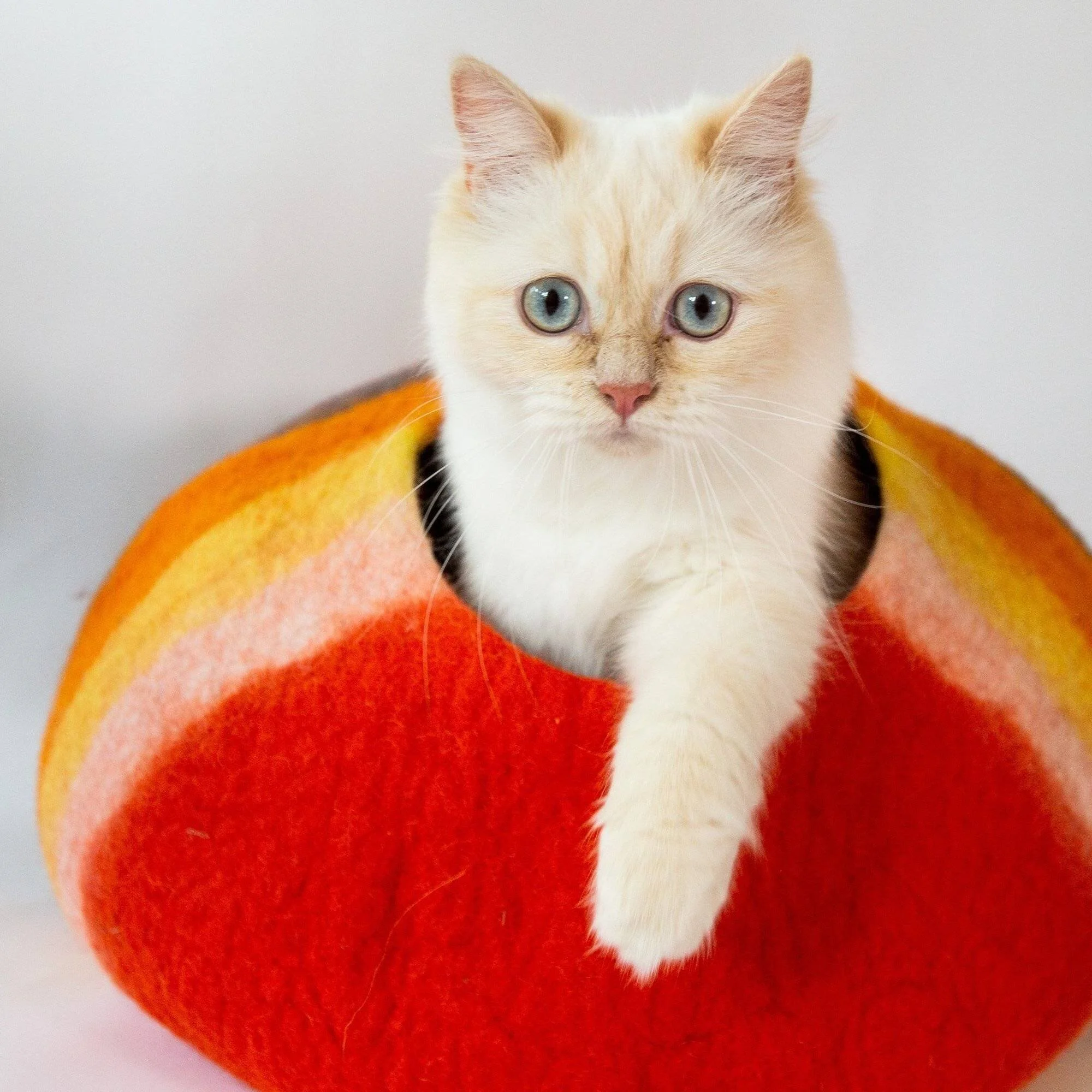 Every cat needs a cat cave!