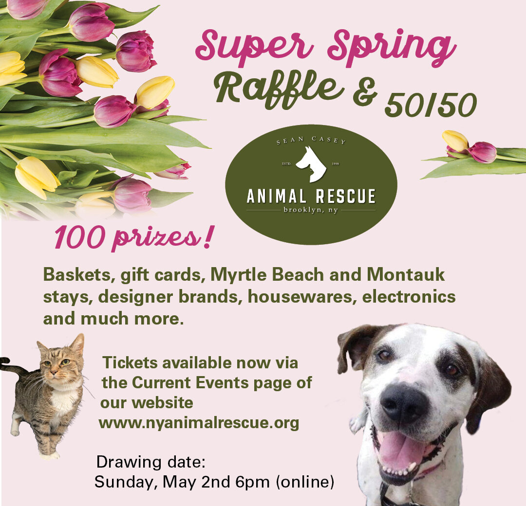 EBARR - East Bay Animal Rescue & Refuge - Mercy's Raffle Basket