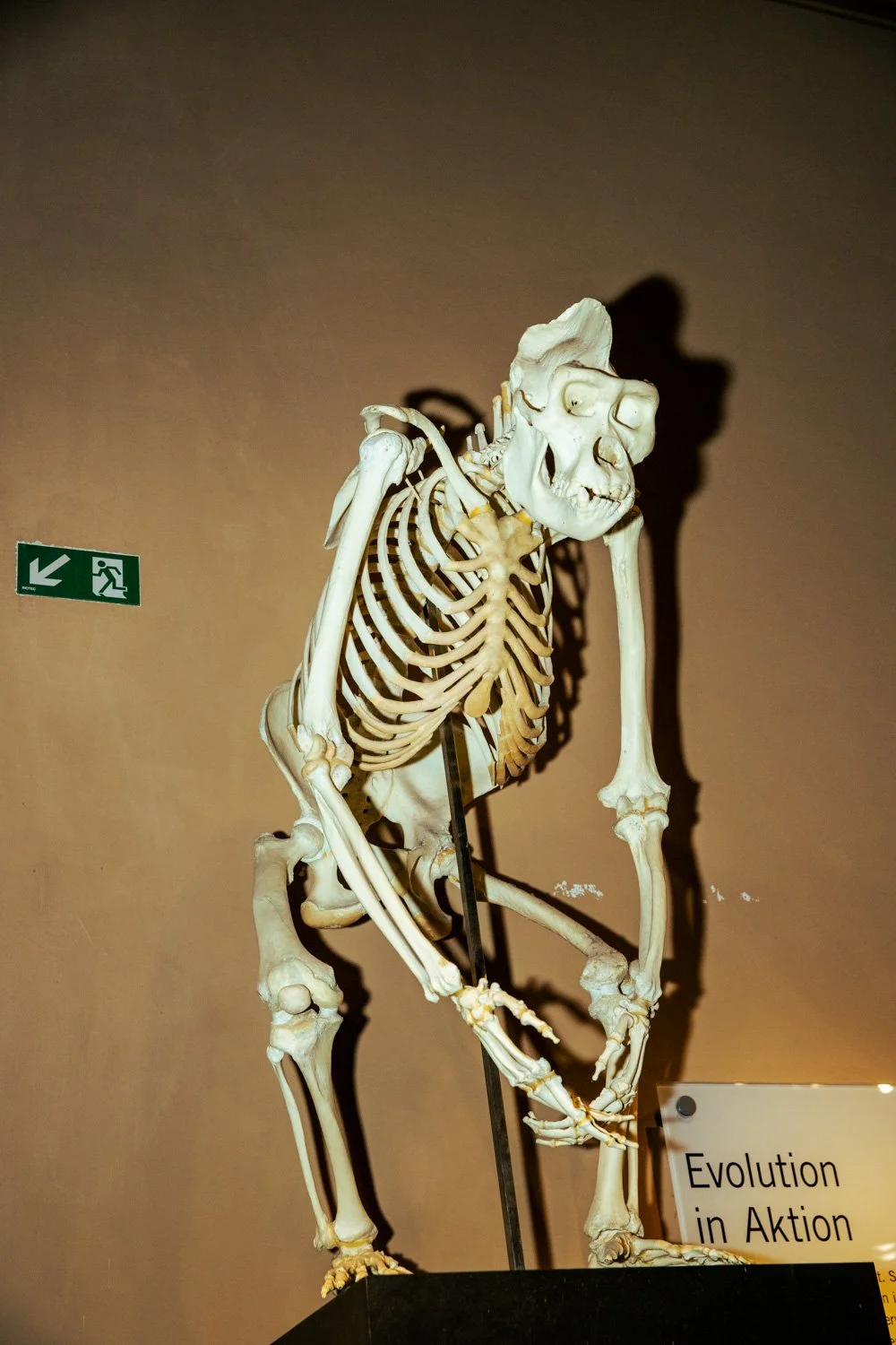 Gabriele Miketta & Anne Haun-Efremides