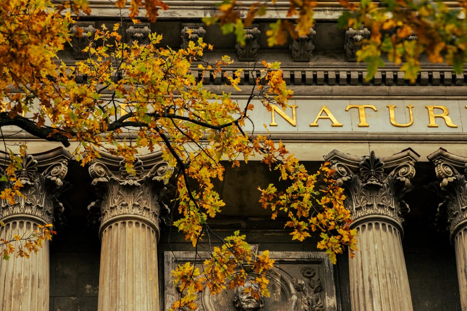 Johanns Vogel, General Director Museum für Naturkunde Berlin Museumsjournal Kulturprojekte Berlin