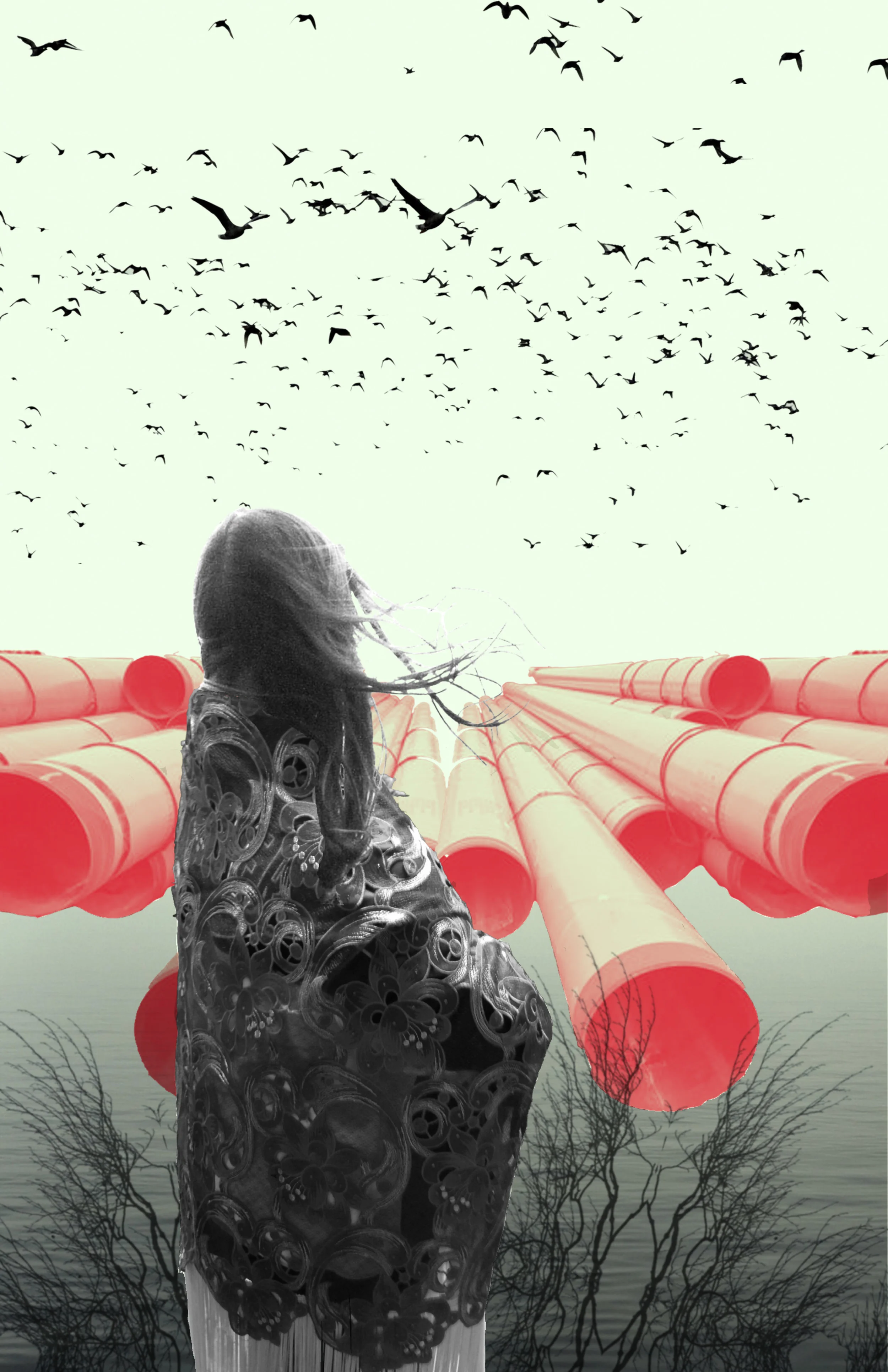nodapl_11x17.jpg