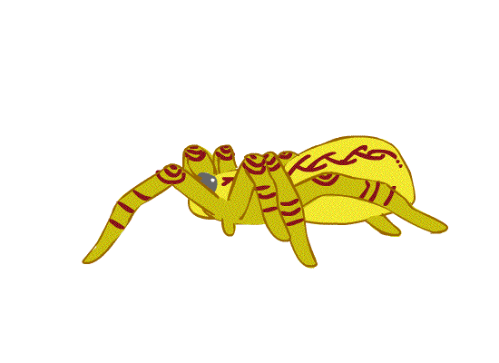 Game Animation: Trickster