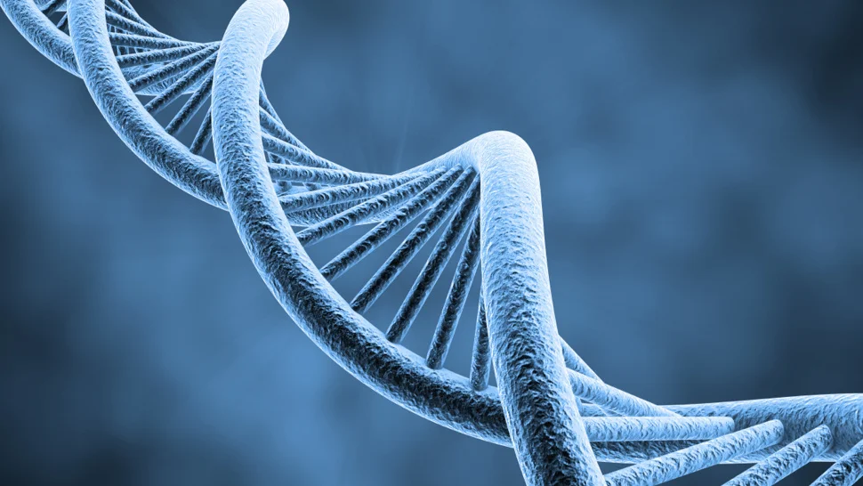 DNA.jpg