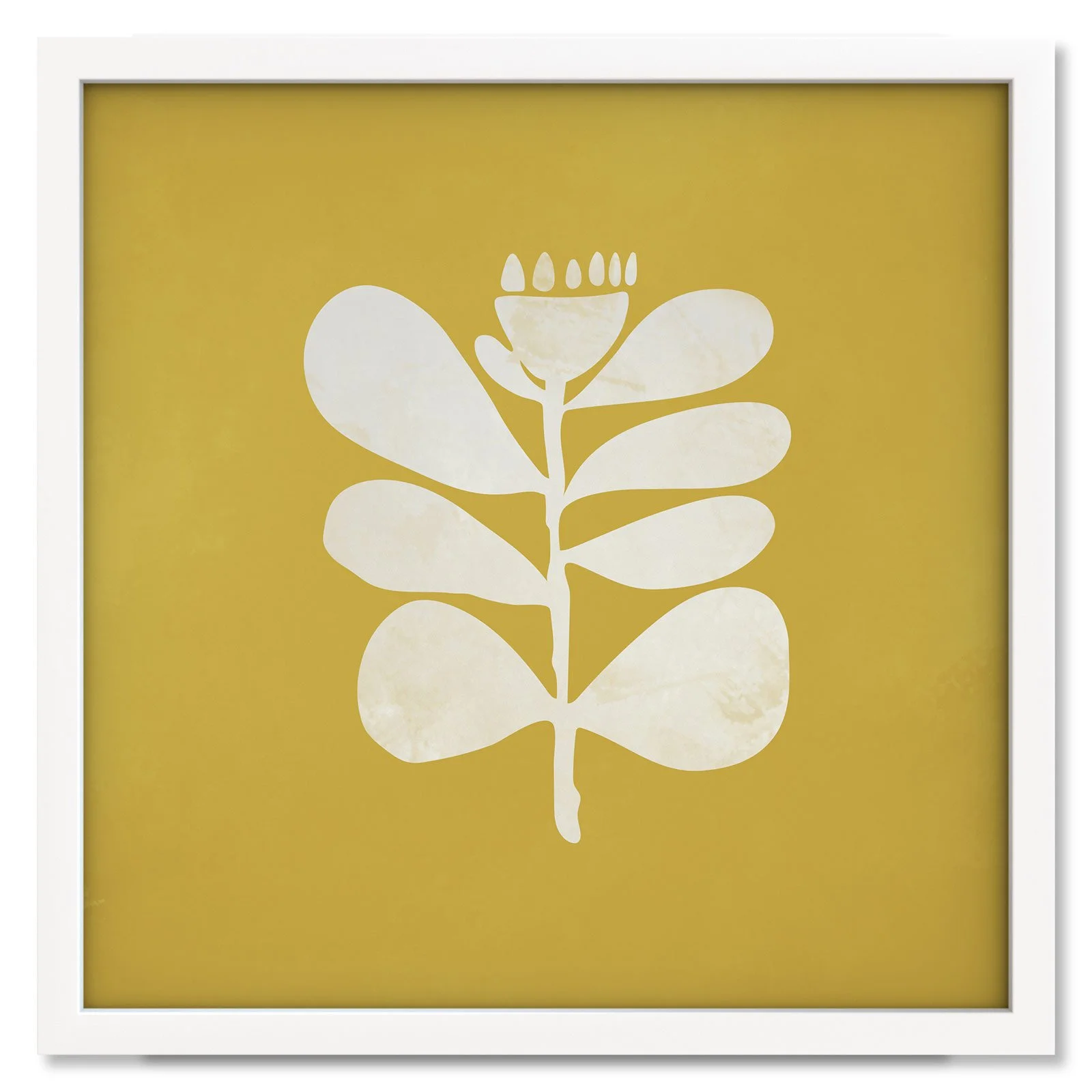 Sunshine-II.jpg