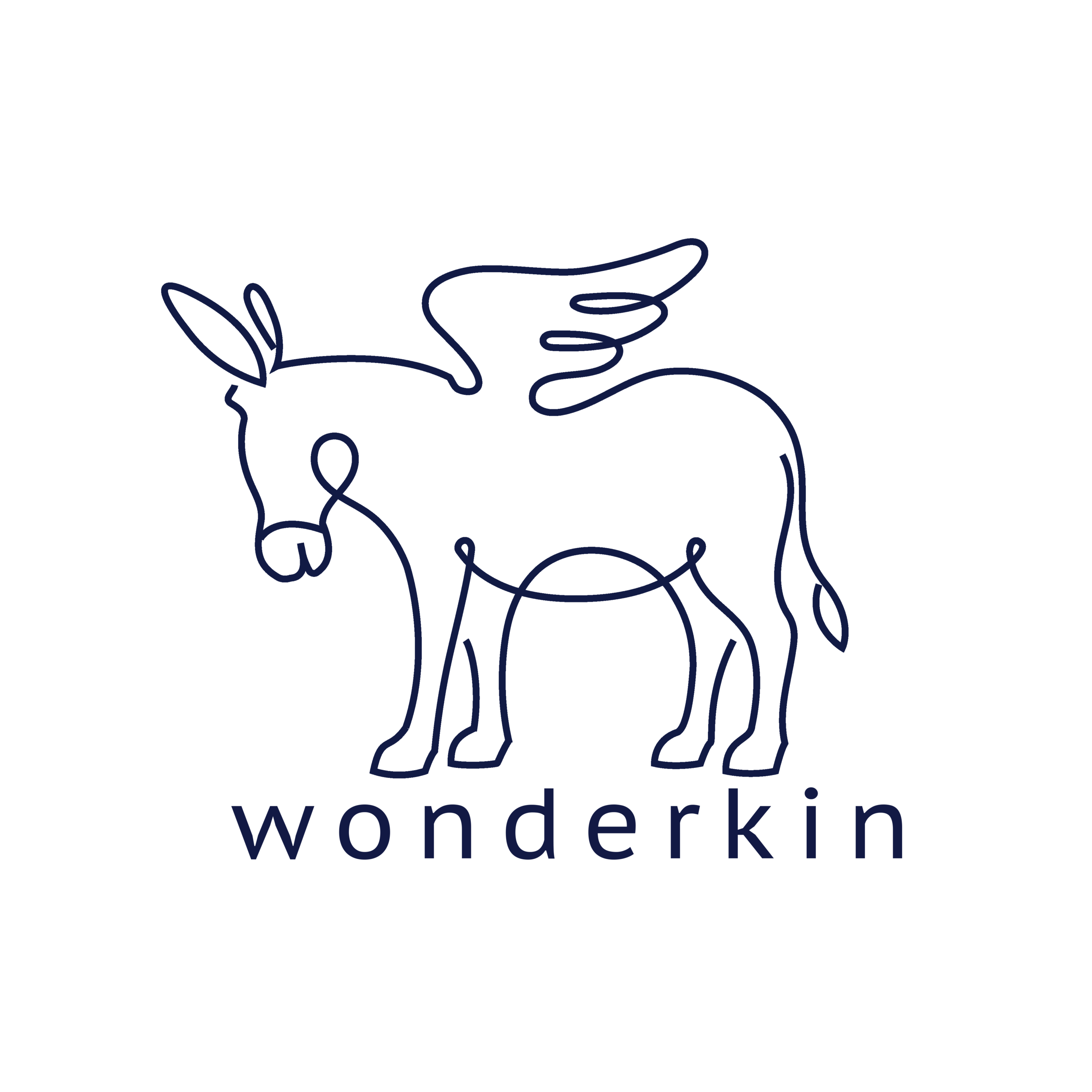 wonderkin