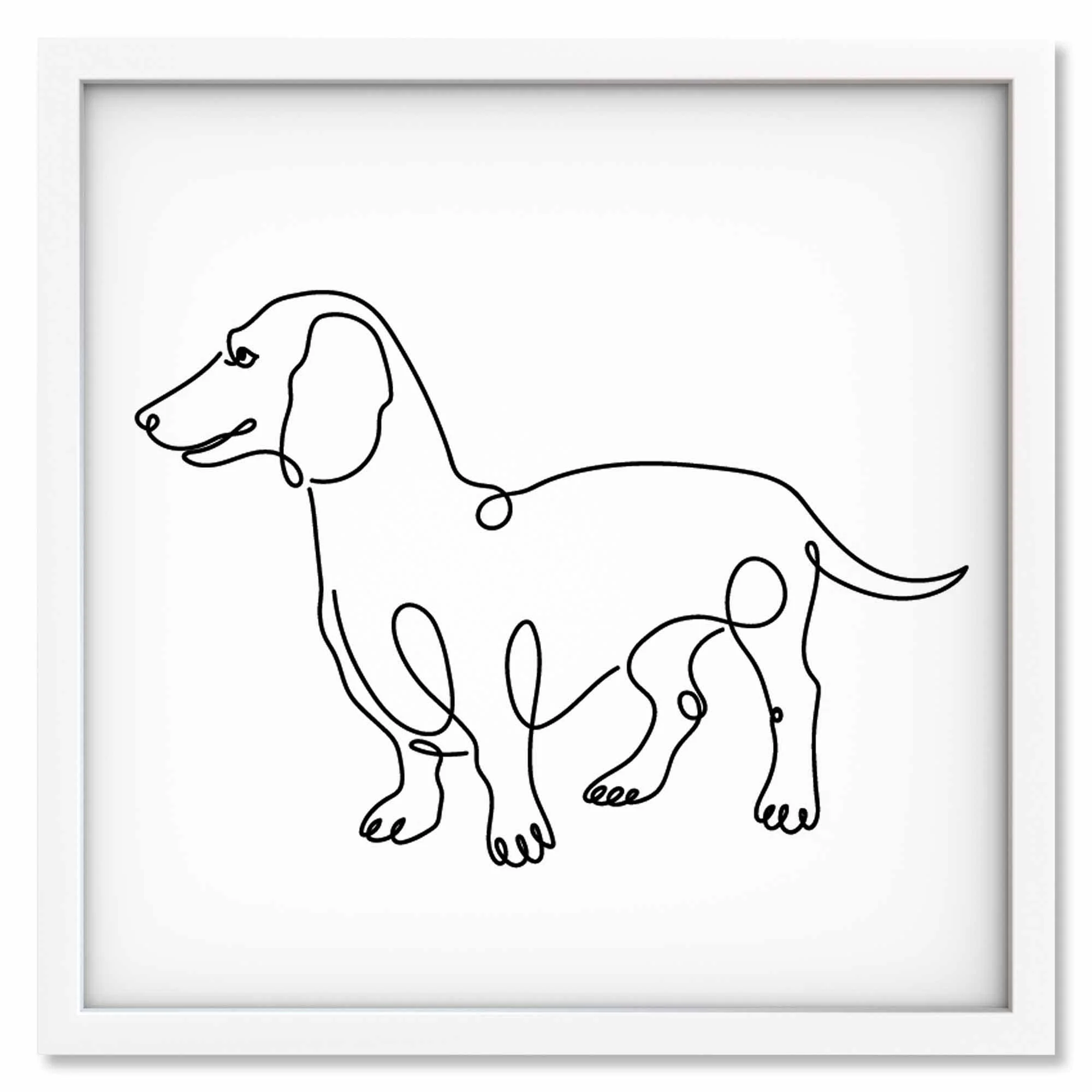 Dachschund