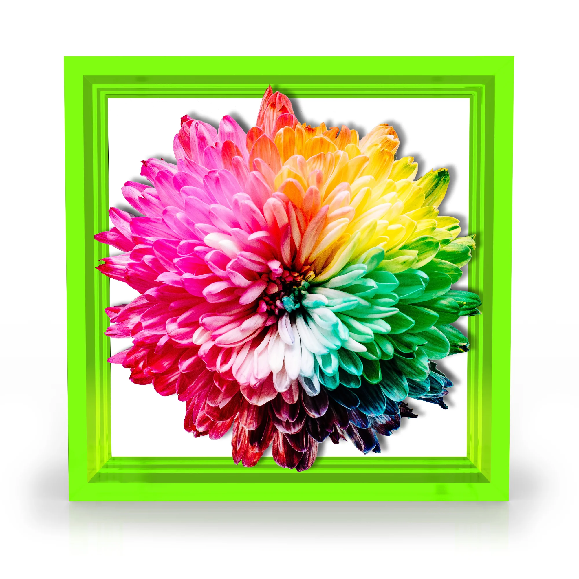 Flower Power.Green.1.jpg