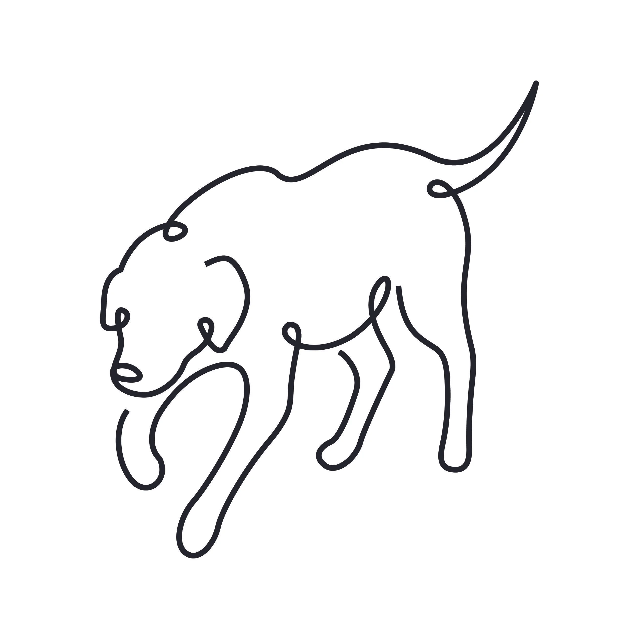Dog-01.jpg