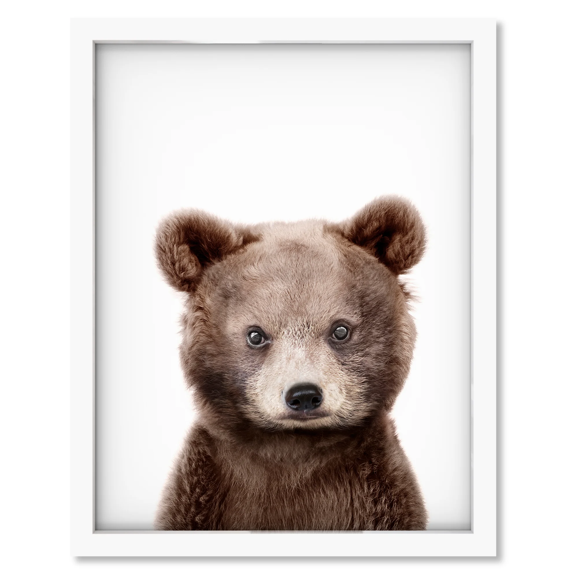 Little Bear.jpg