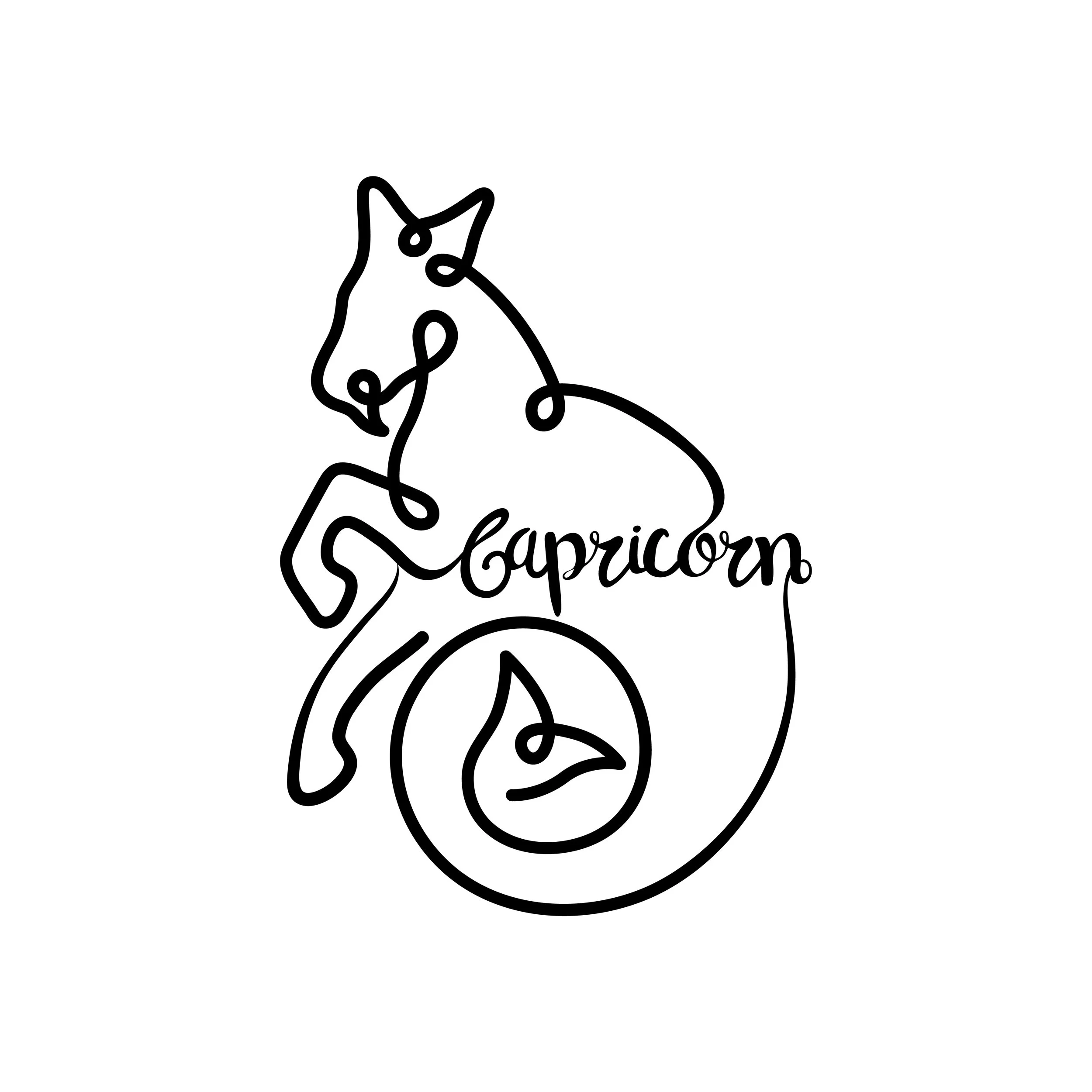 Capricorn-01.jpg