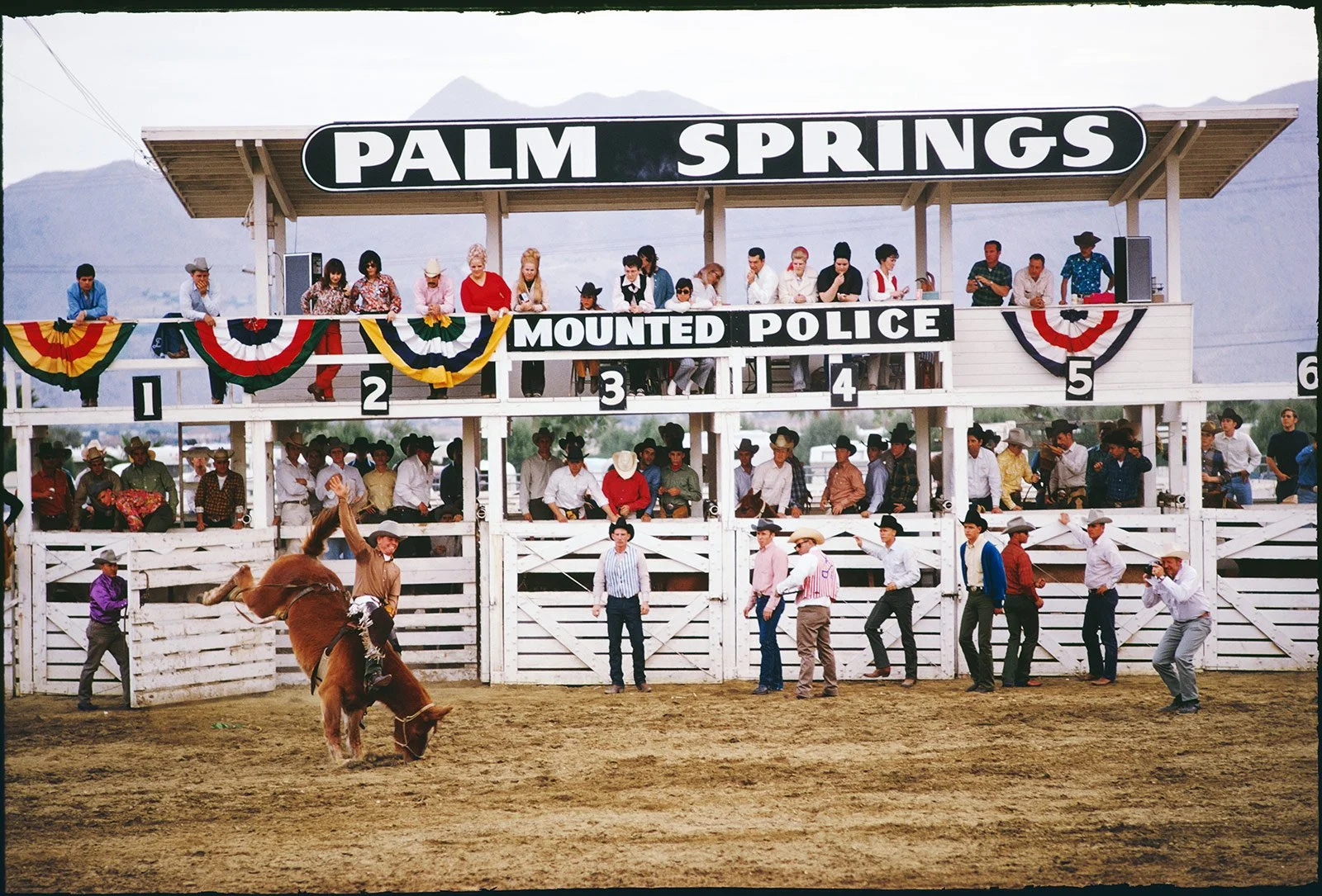 52432995_Palm-Springs-Rodeo.jpg