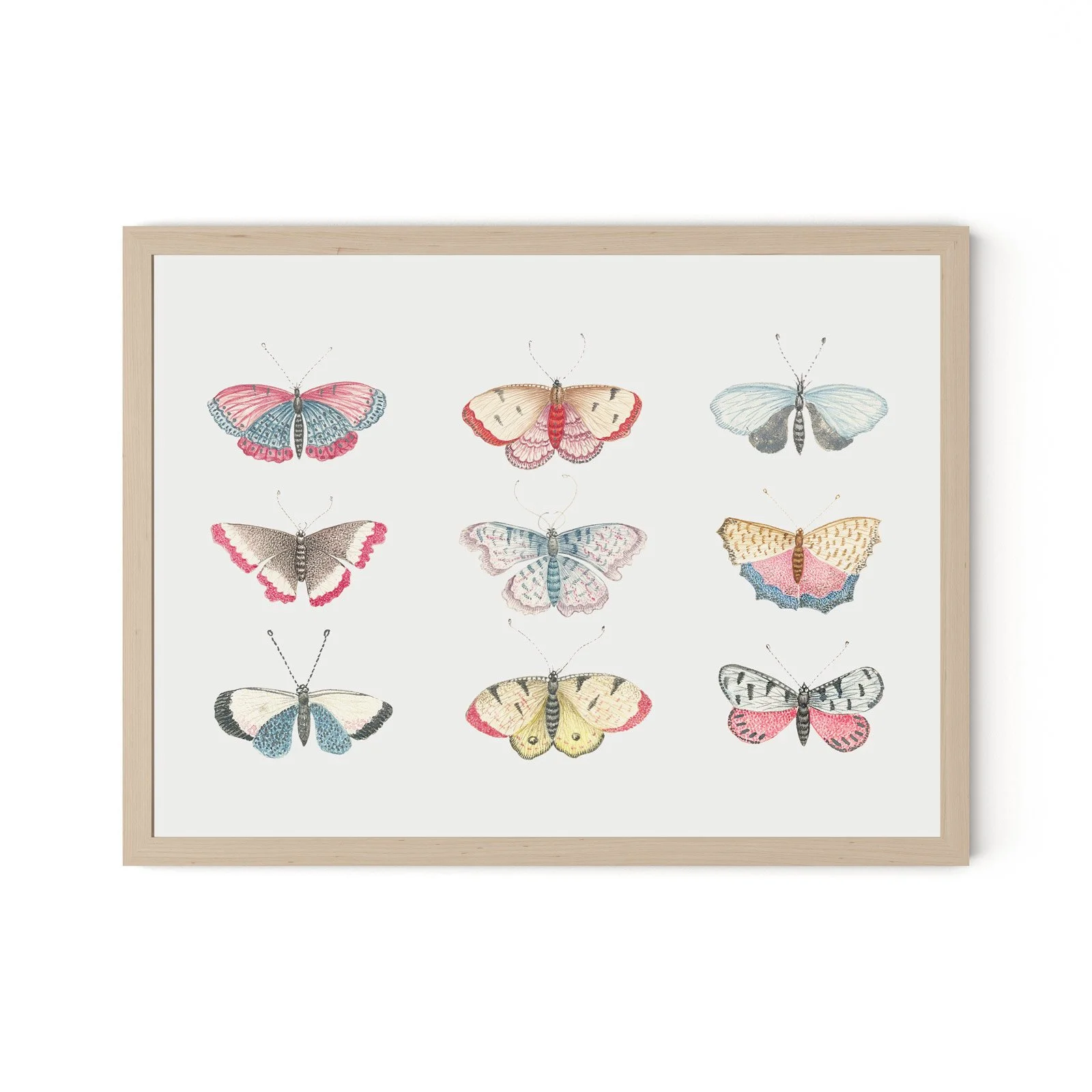 Vintage-Butterflies-Maple.jpg