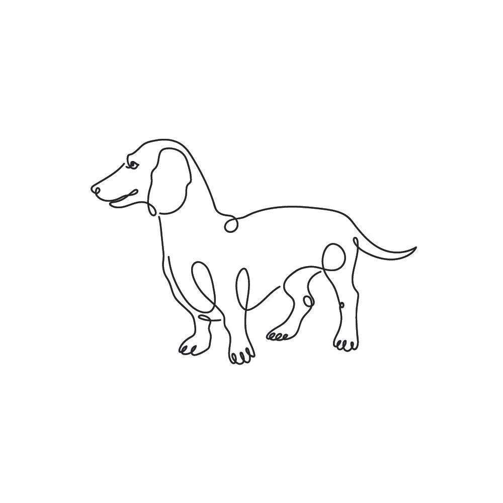 Dachshund - Signature Style-01.jpg