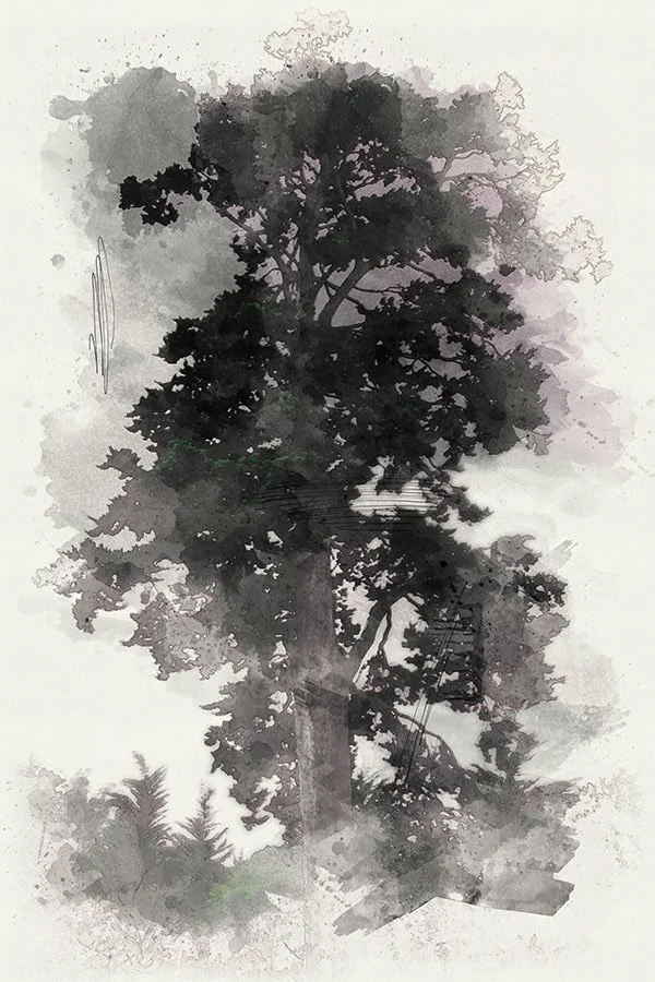 Tree-Sketch-II.jpg