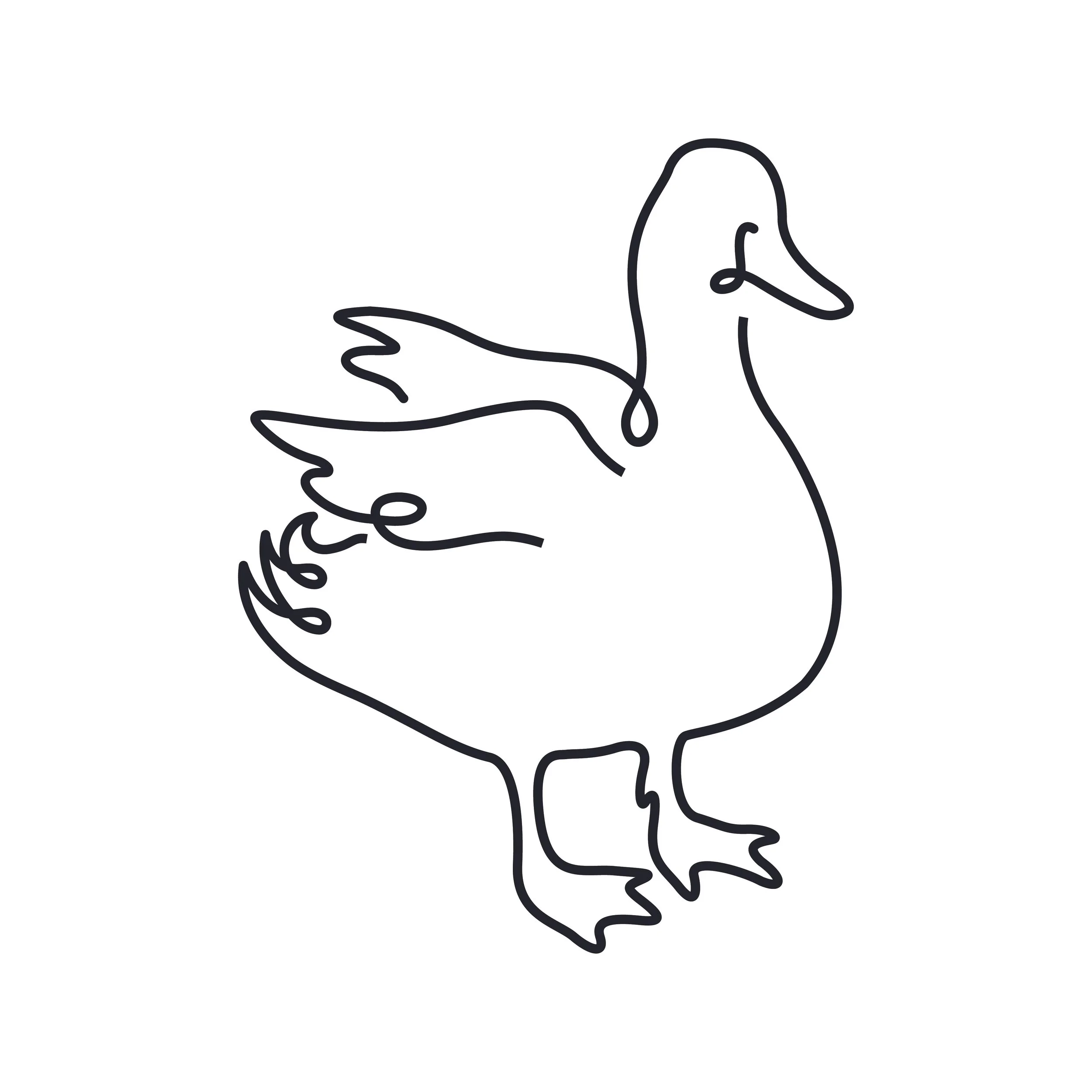 Duck-01-01.jpg