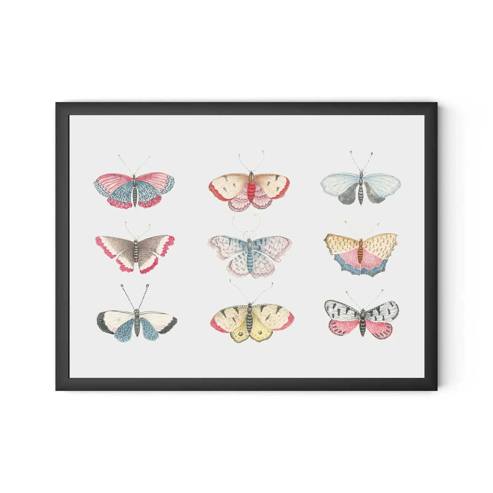 Vintage-Butterflies-Black.jpg