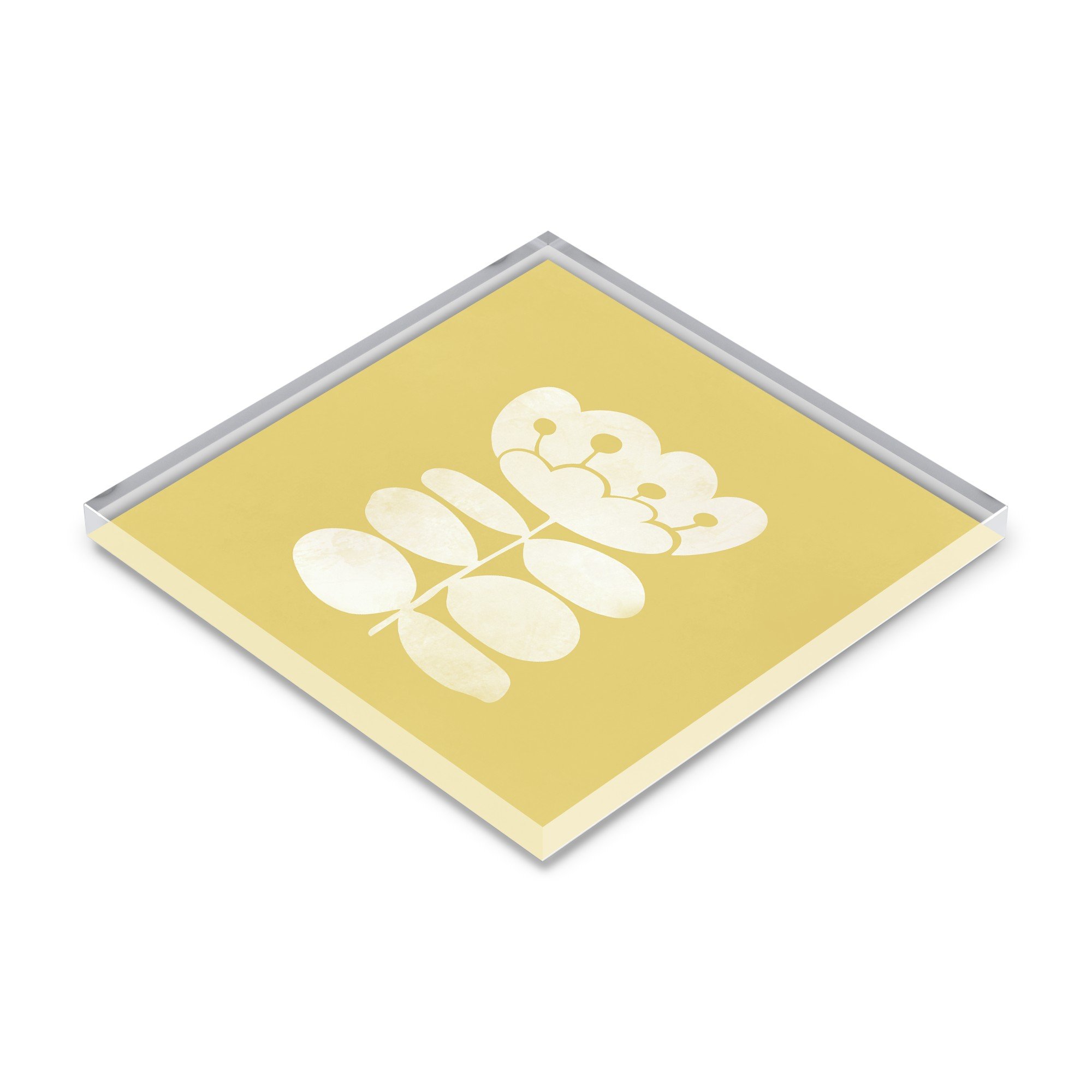 Sunshine I Coaster_view1.jpg