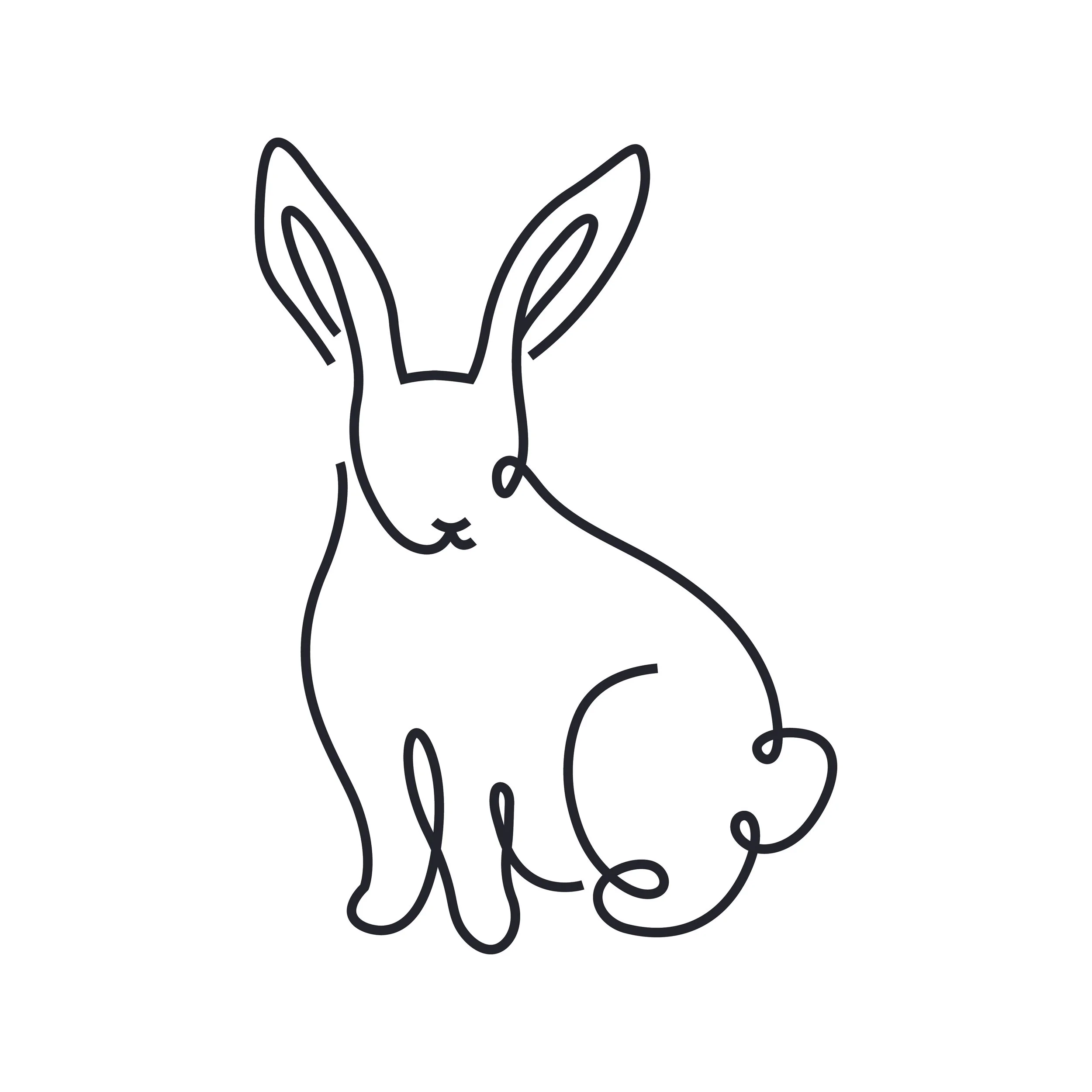 Bunny-01.jpg