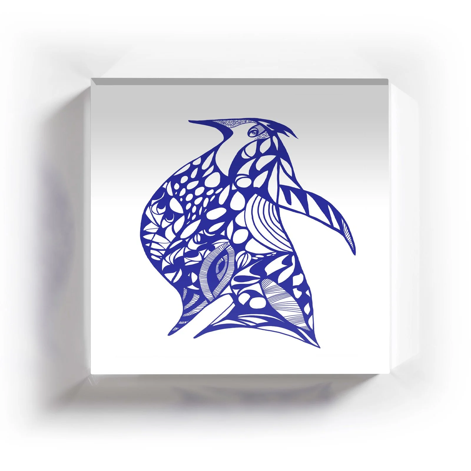 Blue-Bird-Coaster-2.jpg